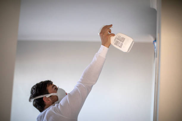 Best Local Mold Removal Service  in Flordell Hills, MO