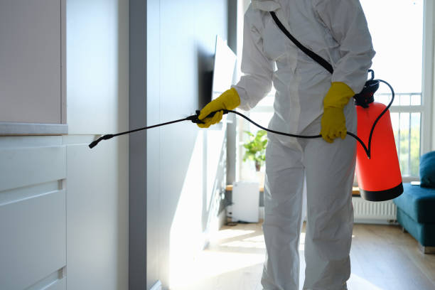 Best Residential Mold Removal  in Flordell Hills, MO