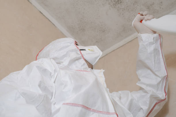 Best Mold Removal Company Near Me  in Flordell Hills, MO