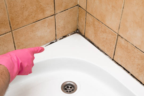 Best Attic Mold Removal  in Flordell Hills, MO